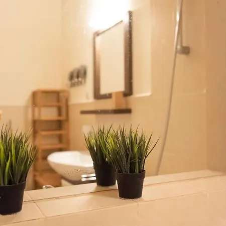 Apartment Velky *
